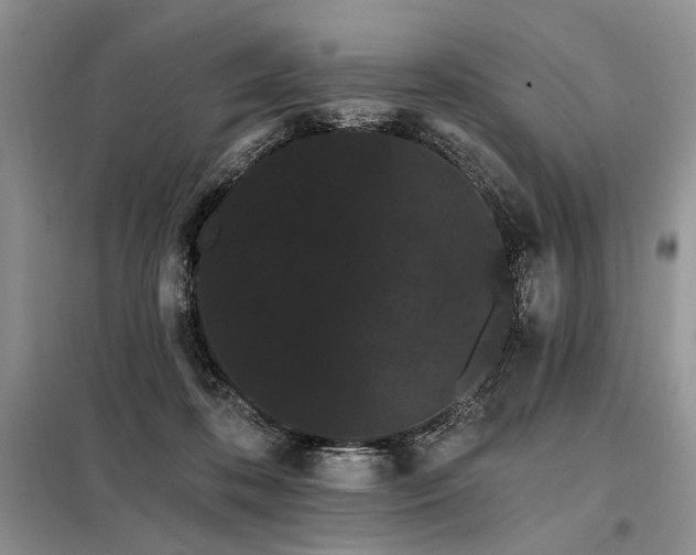 X0000098130316200804171528