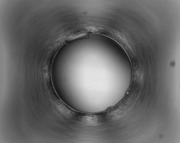 X0000098130317200804171528
