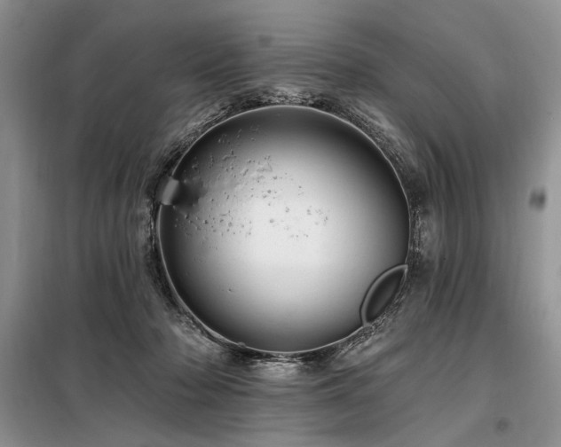 X0000098130318200804171528
