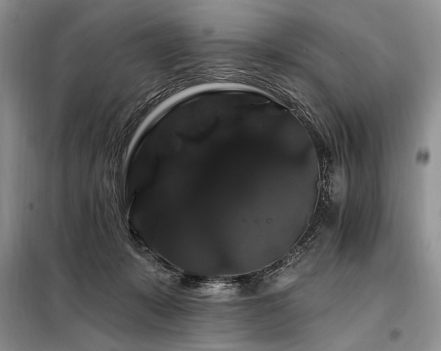 X0000098130319200804171528