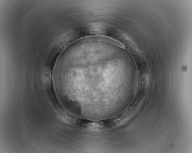X0000098130320200804171528