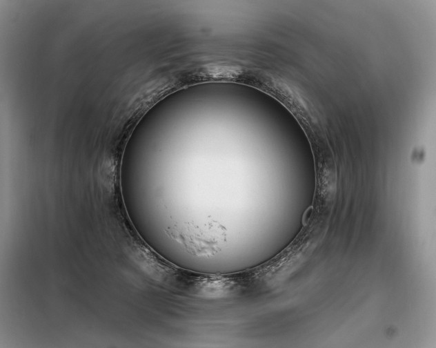 X0000098130321200804171528