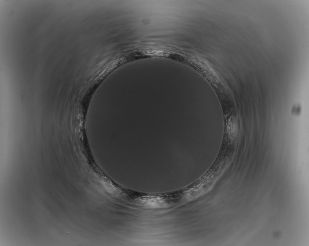 X0000098130322200804171528