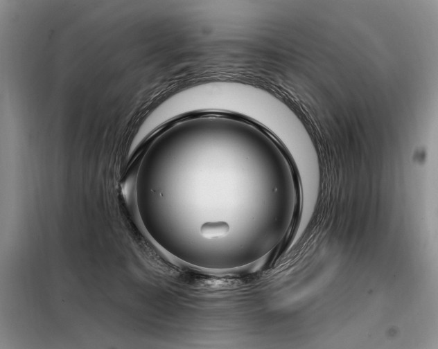 X0000098130323200804171528