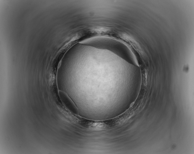 X0000098130324200804171528