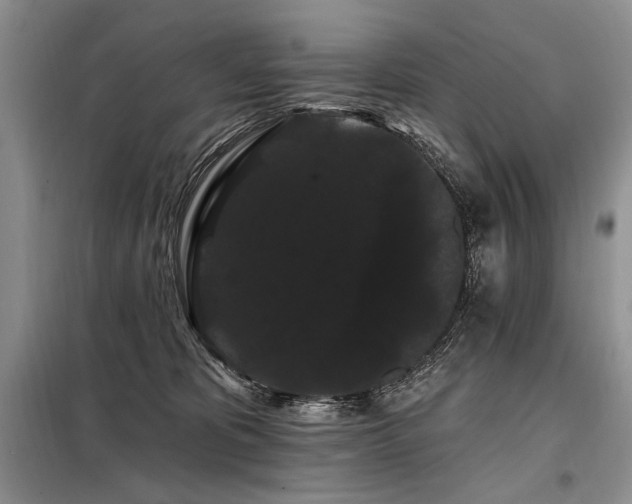 X0000098130325200804171528