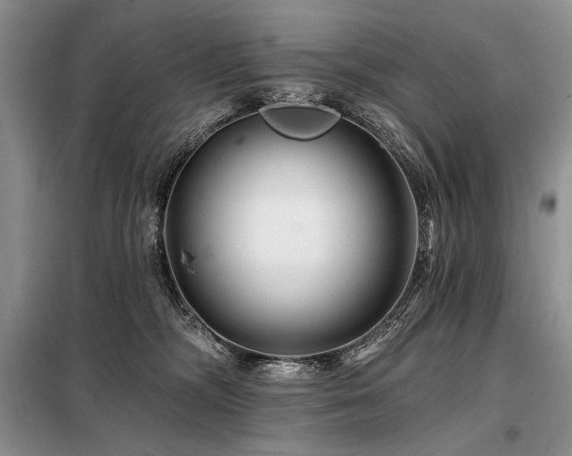 X0000098130326200804171528