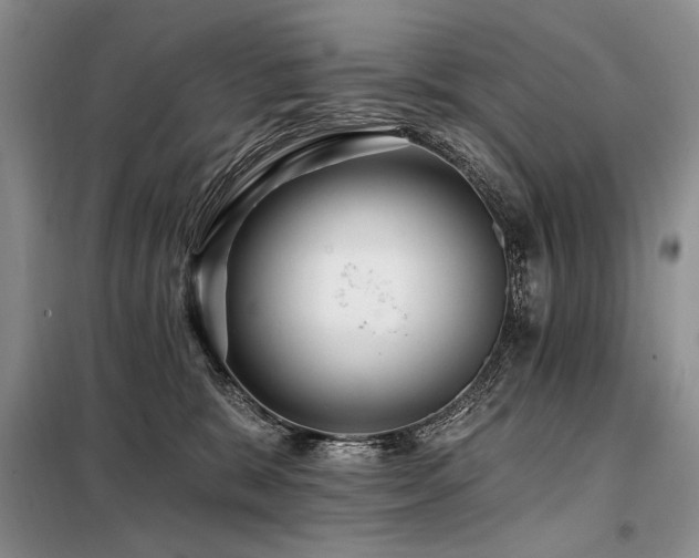 X0000098130327200804171528