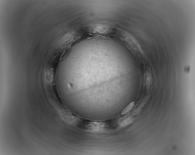 X0000098130328200804171528