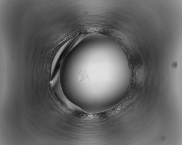 X0000098130329200804171528