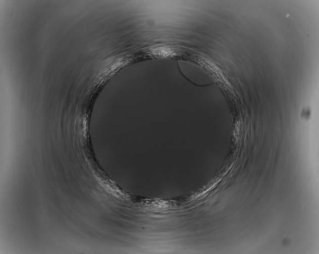 X0000098130330200804171528