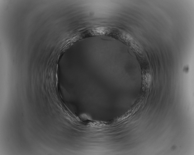 X0000098130331200804171528