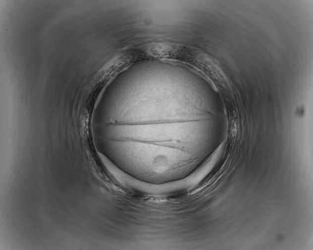 X0000098130332200804171528