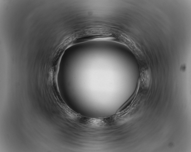 X0000098130333200804171528