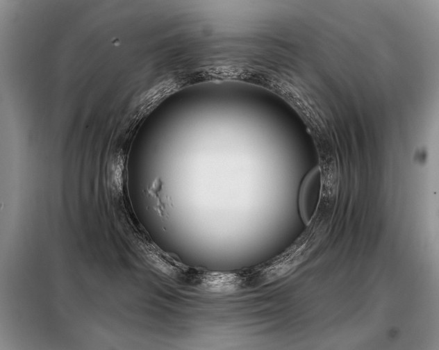 X0000098130334200804171528