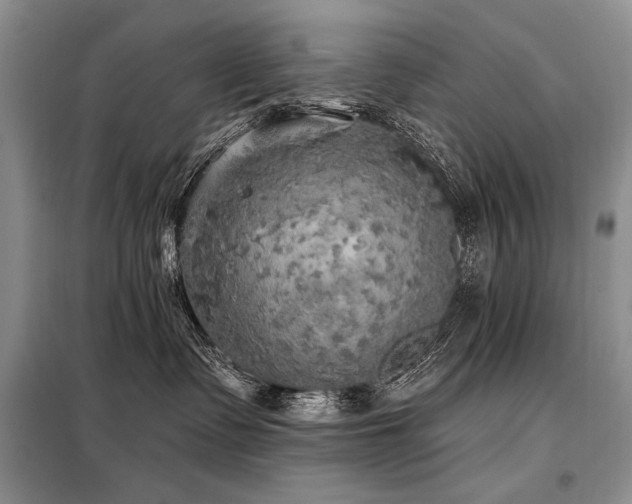X0000098130335200804171528