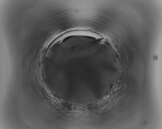 X0000098130337200804171527