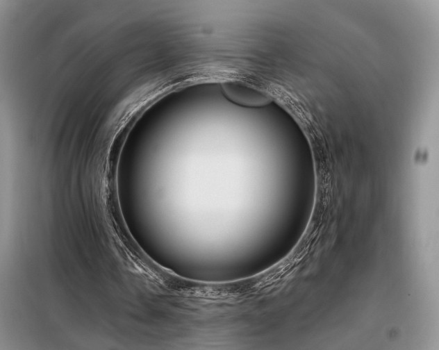 X0000098130338200804171527
