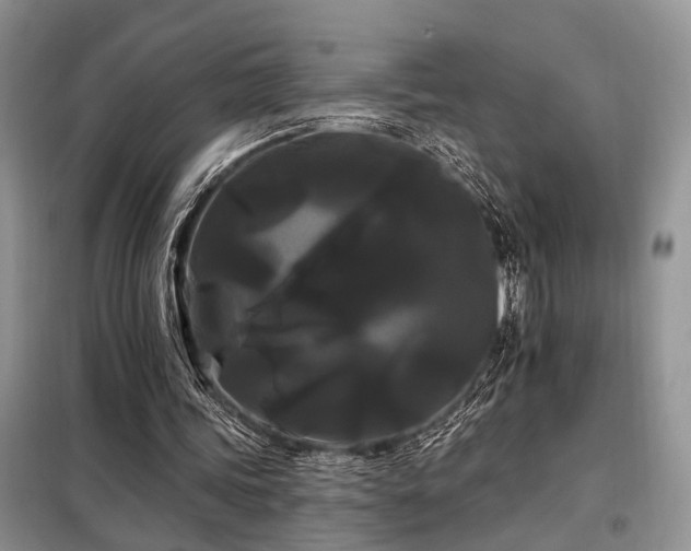 X0000098130339200804171527