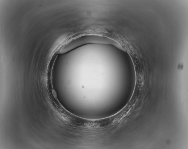 X0000098130340200804171527