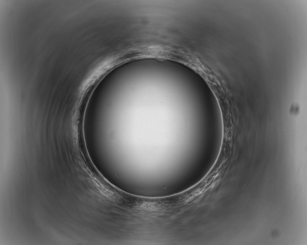 X0000098130341200804171527