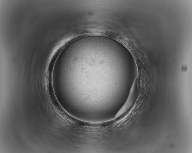 X0000098130342200804171527