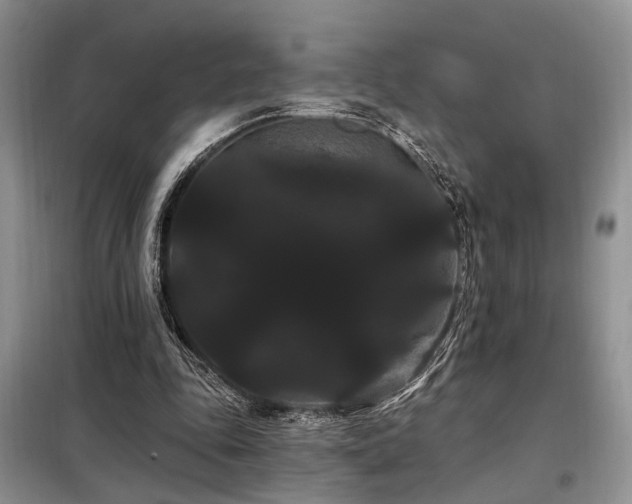 X0000098130343200804171527