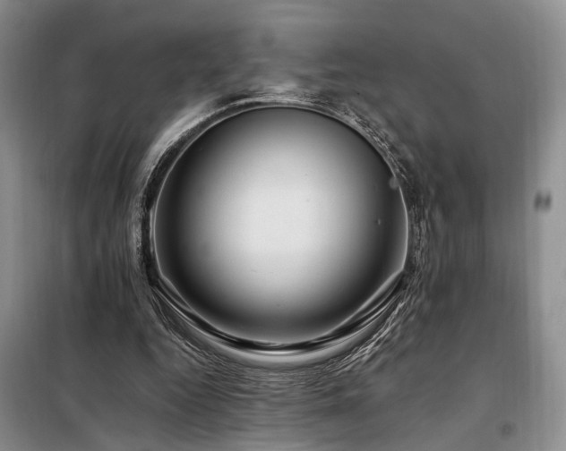 X0000098130344200804171527