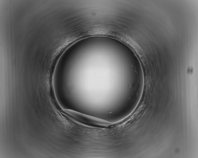 X0000098130345200804171527