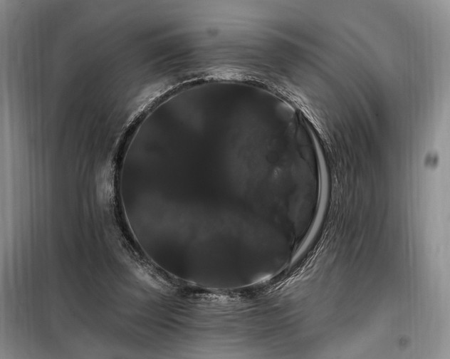 X0000098130347200804171527