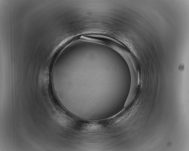 X0000098130348200804171527