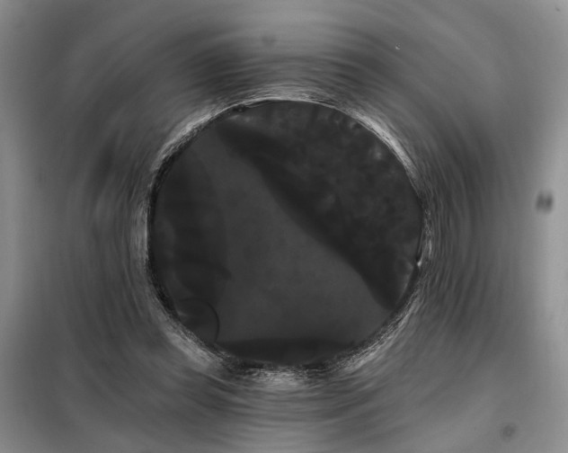 X0000098130349200804171527