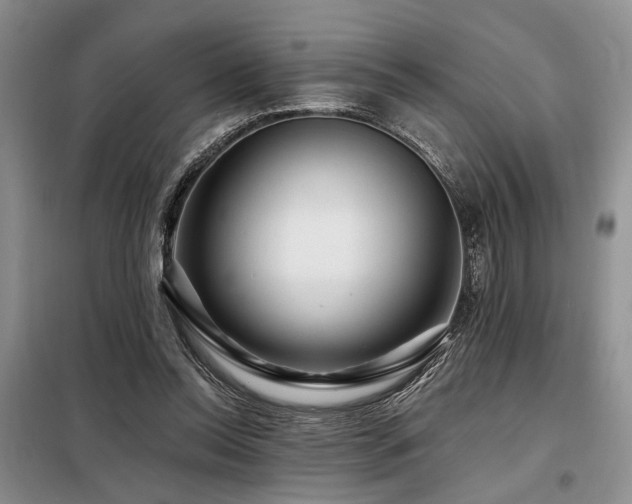 X0000098130350200804171527