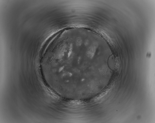 X0000098130351200804171527