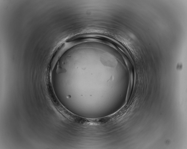 X0000098130352200804171527