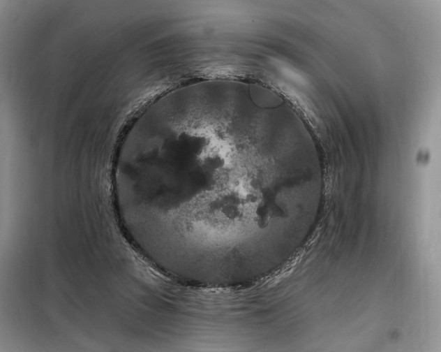 X0000098130353200804171527
