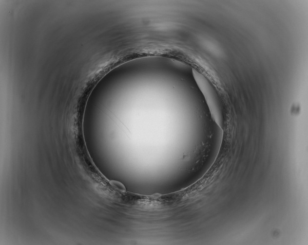 X0000098130354200804171527