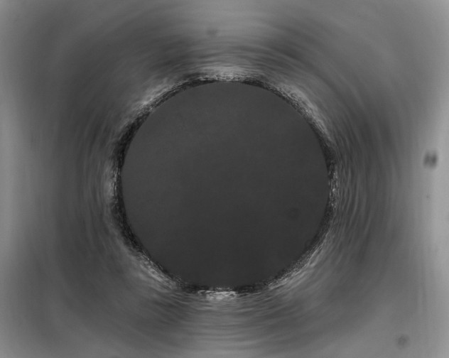 X0000098130355200804171527