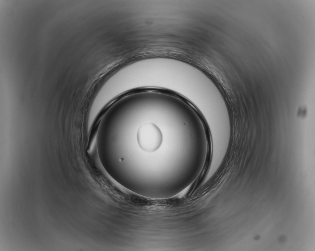 X0000098130356200804171527