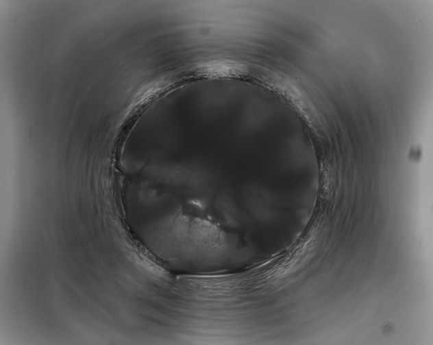X0000098130357200804171527