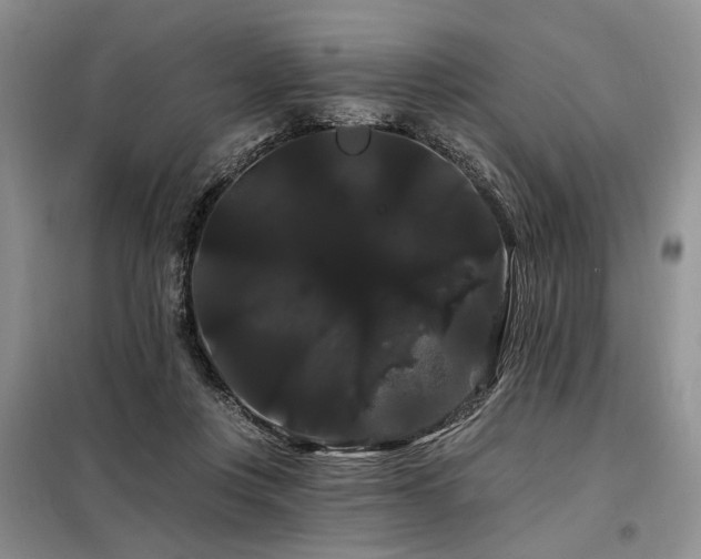 X0000098130359200804171527