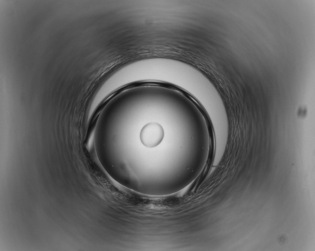 X0000098130360200804171527