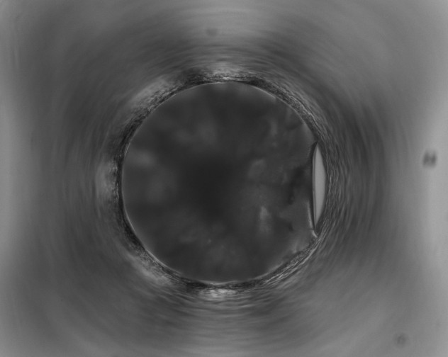 X0000098130361200804171527