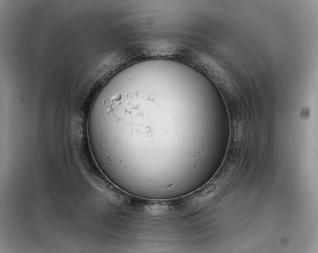 X0000098130362200804171527
