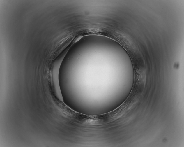 X0000098130364200804171527