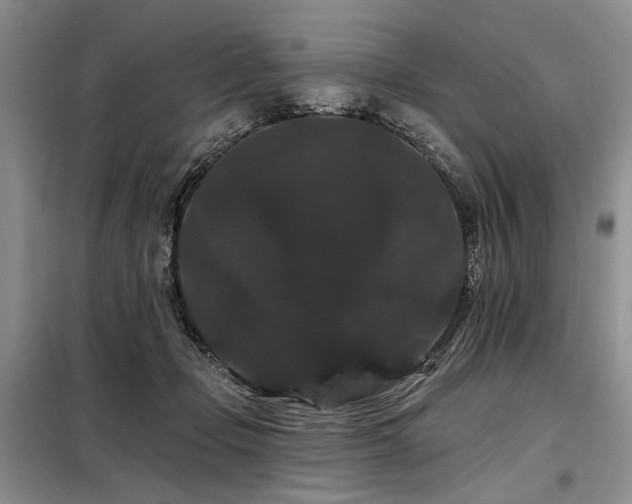 X0000098130365200804171527