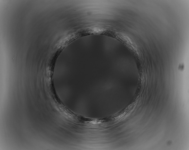X0000098130366200804171527