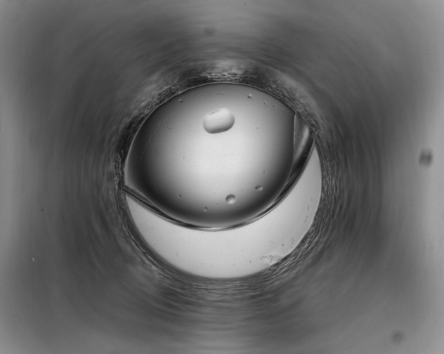 X0000098130370200804171527