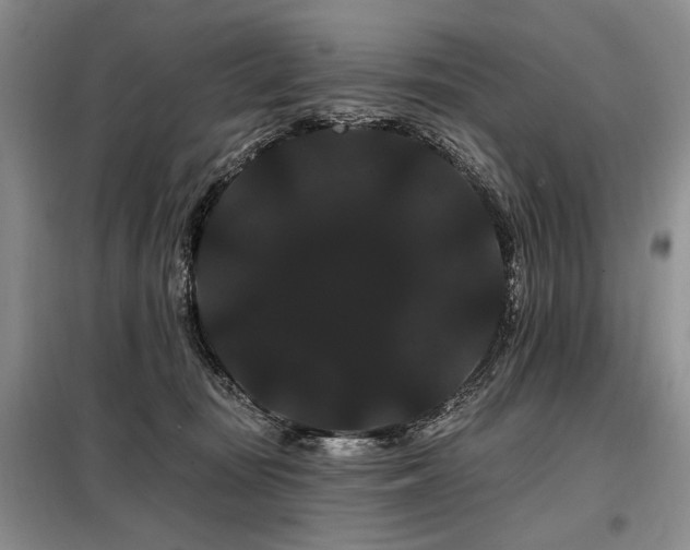 X0000098130371200804171527