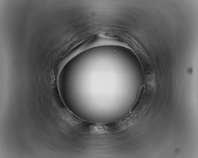 X0000098130372200804171527
